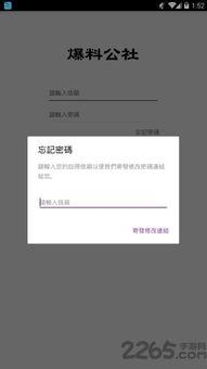 最新爆料视频软件,功能强大,操作便捷,引领潮流